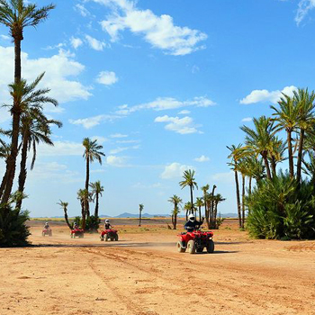 Half day quad biking safari in the palm grove of marrakech