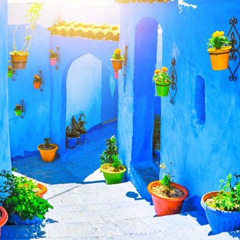 2 days tour from fes to chefchaouen via Meknes, Volubilis