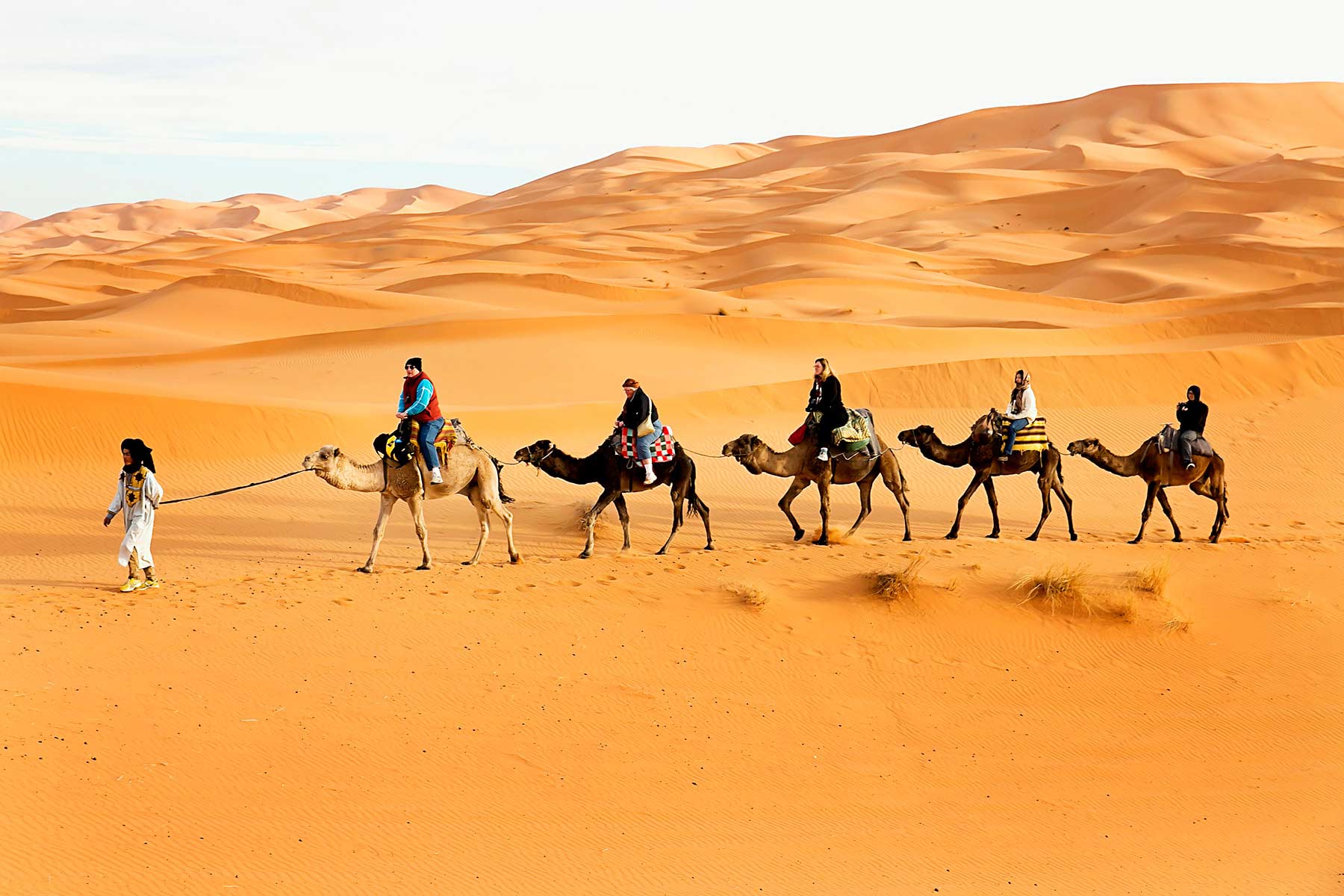 8 Days Tour From Casablanca To Imperial Cities And Merzouga